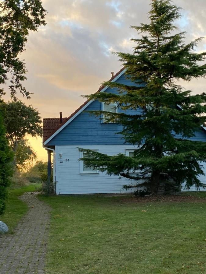 Freistehendes Einfamilienhaus Mit Boddenblick Naehe Ostsee Fuhlendorf  Exterior foto